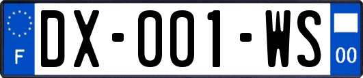 DX-001-WS
