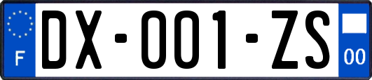 DX-001-ZS