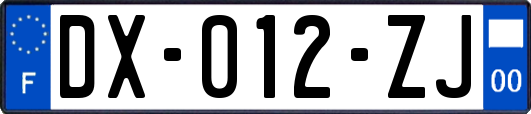 DX-012-ZJ