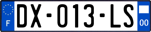 DX-013-LS