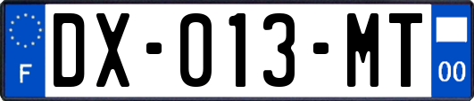 DX-013-MT