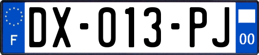 DX-013-PJ