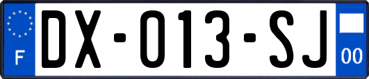 DX-013-SJ