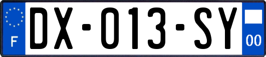 DX-013-SY