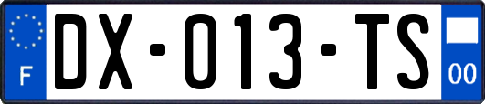 DX-013-TS