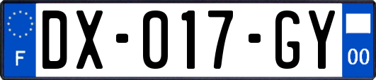 DX-017-GY