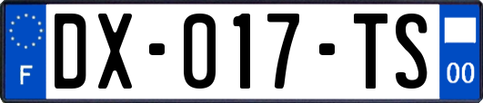 DX-017-TS