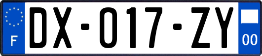 DX-017-ZY