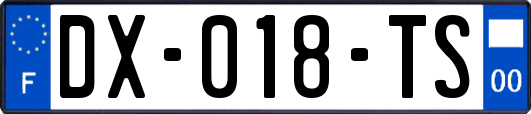 DX-018-TS