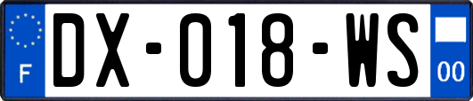 DX-018-WS