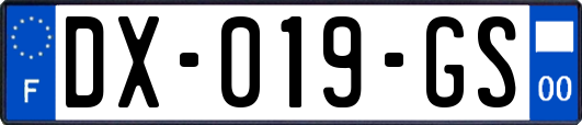 DX-019-GS