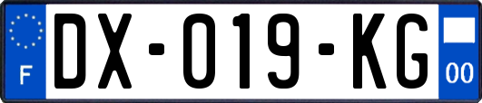 DX-019-KG