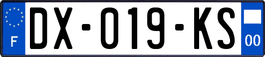 DX-019-KS