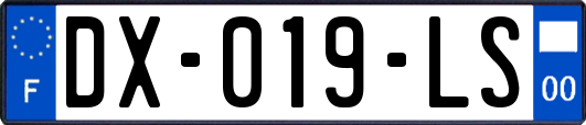 DX-019-LS