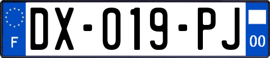 DX-019-PJ