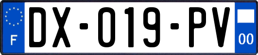 DX-019-PV