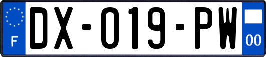 DX-019-PW
