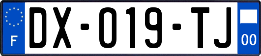 DX-019-TJ