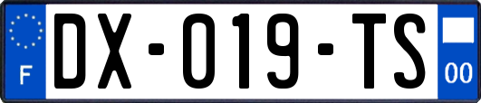 DX-019-TS