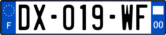 DX-019-WF