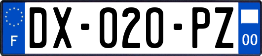 DX-020-PZ