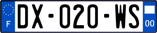 DX-020-WS