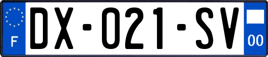 DX-021-SV