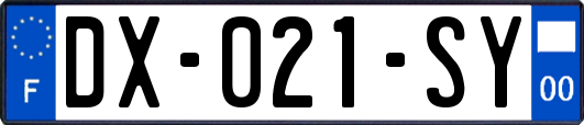 DX-021-SY