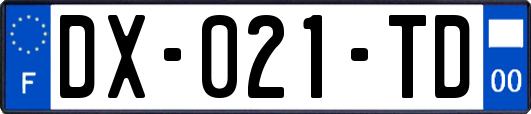 DX-021-TD