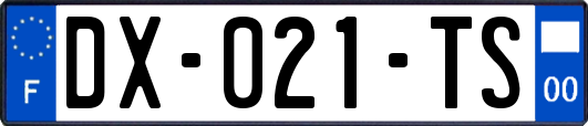 DX-021-TS