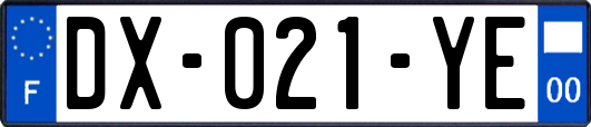 DX-021-YE