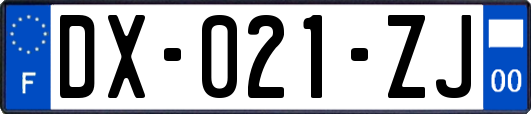 DX-021-ZJ