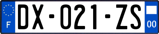 DX-021-ZS