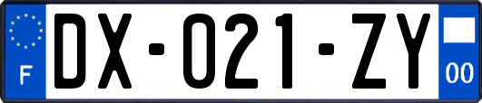 DX-021-ZY