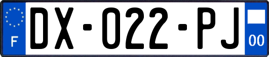 DX-022-PJ