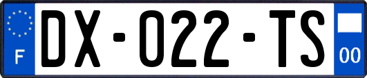 DX-022-TS