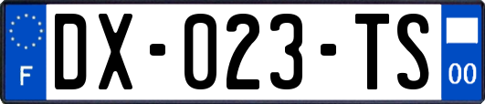DX-023-TS