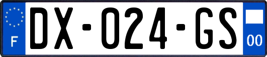 DX-024-GS