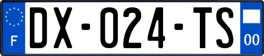 DX-024-TS