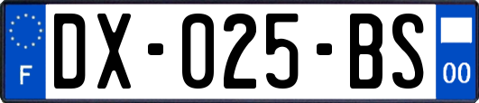 DX-025-BS