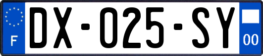 DX-025-SY