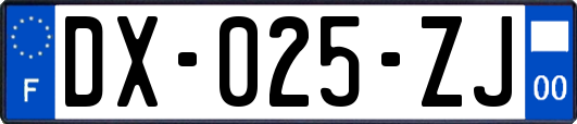 DX-025-ZJ