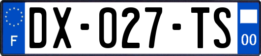 DX-027-TS