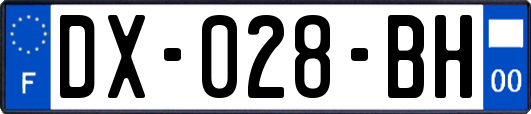 DX-028-BH