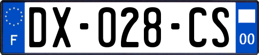 DX-028-CS