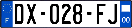 DX-028-FJ