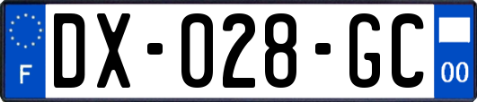 DX-028-GC