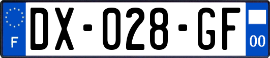 DX-028-GF