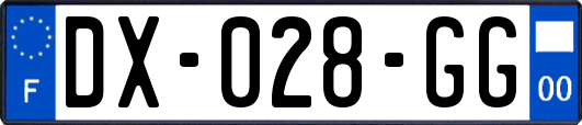 DX-028-GG