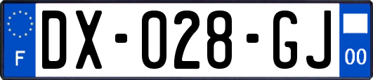 DX-028-GJ